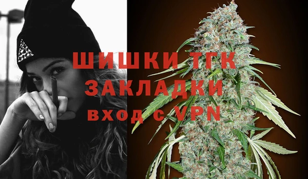 шишки Нягань