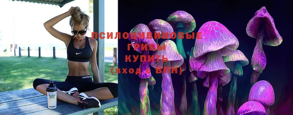 прущие грибы Остров