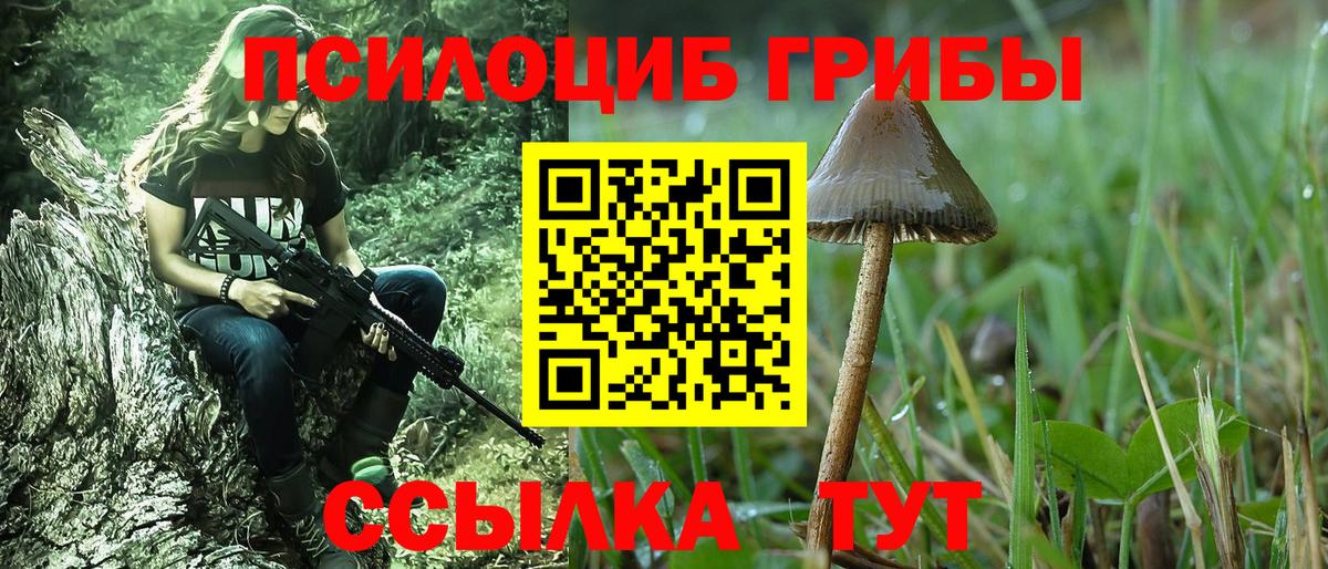 Псилоцибиновые грибы мицелий Раменское